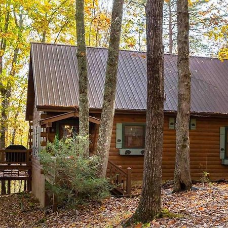 Mountain Time Cabin, Hot Tub, Fire Pit, Fireplace Villa Blue Ridge Ngoại thất bức ảnh