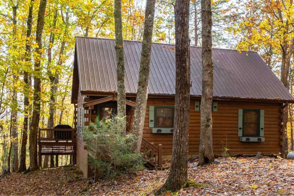 Mountain Time Cabin, Hot Tub, Fire Pit, Fireplace Villa Blue Ridge Ngoại thất bức ảnh