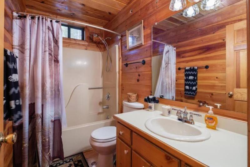 Mountain Time Cabin, Hot Tub, Fire Pit, Fireplace Villa Blue Ridge Ngoại thất bức ảnh