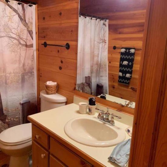 Mountain Time Cabin, Hot Tub, Fire Pit, Fireplace Villa Blue Ridge Ngoại thất bức ảnh